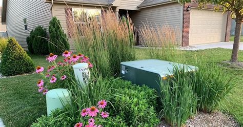 garden around electrical box|landscaping with utility boxes.